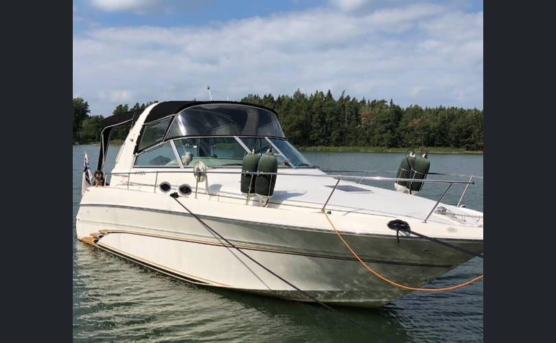 Sea Ray 310 Sundancer-kuva-5